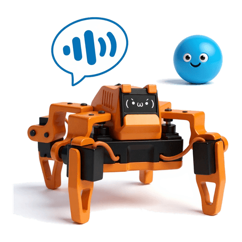 Sesame robot talking with an AI helper